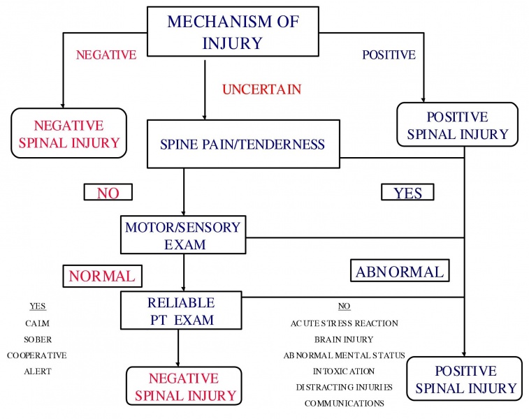 File:Spinal Assessment.jpg