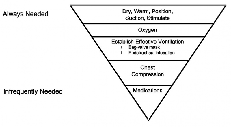 File:Pedi Triangle.jpg
