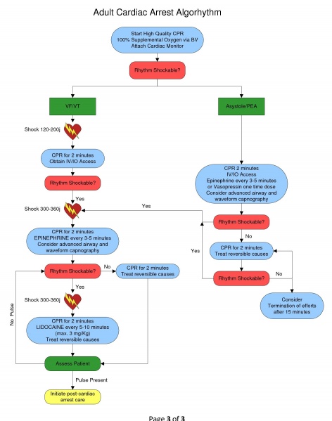 File:Adult Cardiac Arrest Flowchart.jpg